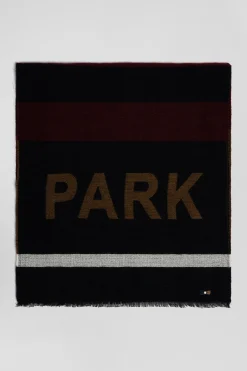Burgundy striped scarf