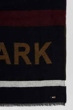 Burgundy striped scarf