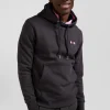 Regular brown brushed cotton fleece hoodie with Eden Park embroidery