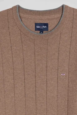 Regular brown cotton and cashmere crew neck jumper
