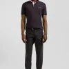 Regular brown short-sleeved cotton piqué polo shirt with striped embroidery
