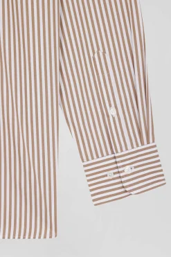 Regular brown striped cotton poplin shirt
