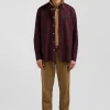Regular burgundy oxford cotton shirt with striped bow tie detail