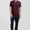 Regular burgundy short-sleeved cotton piqué polo shirt with striped embroidery