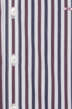 Regular burgundy striped cotton shirt
