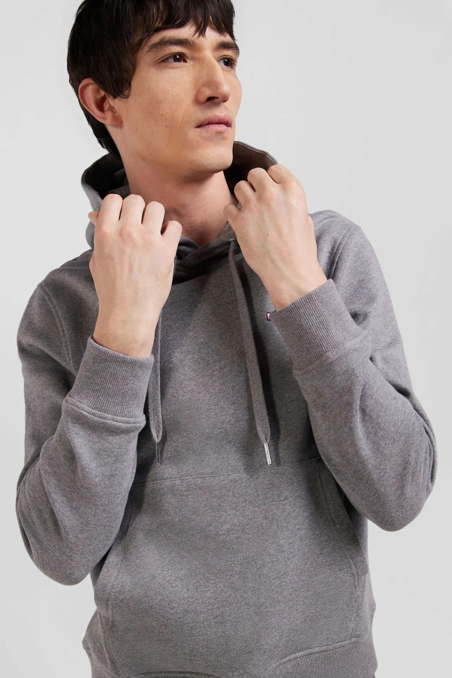 Regular grey brushed cotton fleece hoodie