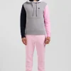 Regular grey colorblock XV de France cotton hoodie