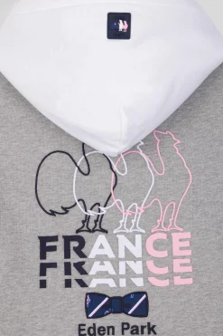 Regular grey colorblock XV de France cotton hoodie