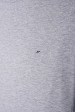Regular grey long-sleeved cotton T-shirt