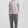 Regular grey short-sleeved cotton T-shirt with back embroidery