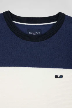 Regular navy and blue cotton crew neck jumper with knit patterns