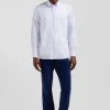 Regular sky blue striped cotton jacquard shirt