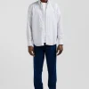 Regular sky blue striped cotton jacquard shirt