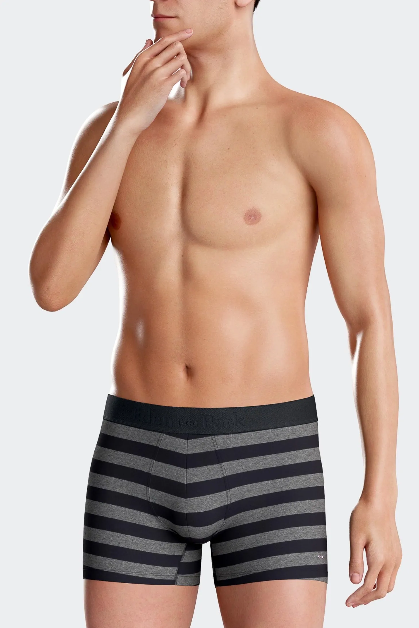 Set of 2 anthracite grey striped and solid stretch cotton boxers