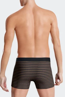 Set of 2 brown and striped stretch cotton boxers