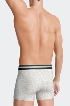 Set of 2 grey stretch cotton boxers with tricolor waistband
