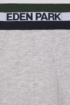 Set of 2 grey stretch cotton boxers with tricolor waistband